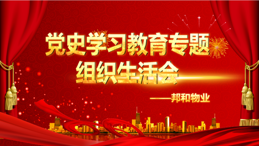 党史学习教育专题组织生活会