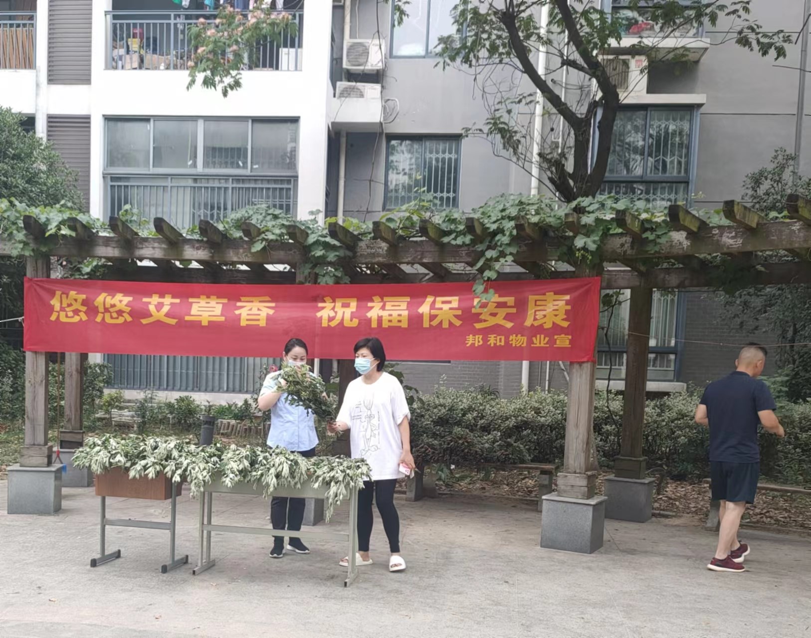 浓情端午 粽情粽意