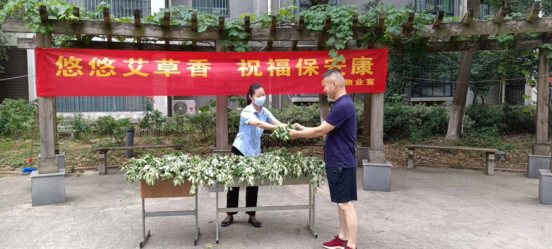 浓情端午 粽情粽意