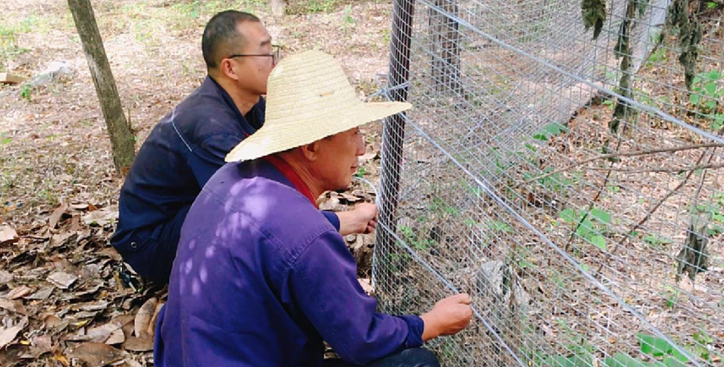 加固校园防护栏，保障安全除隐患