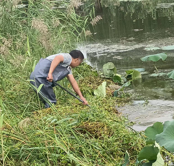 疾风知劲草