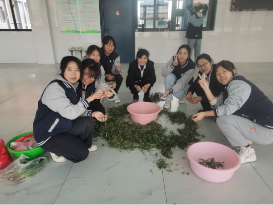 挖荠菜 品春味 迟日江山丽，春风花草香