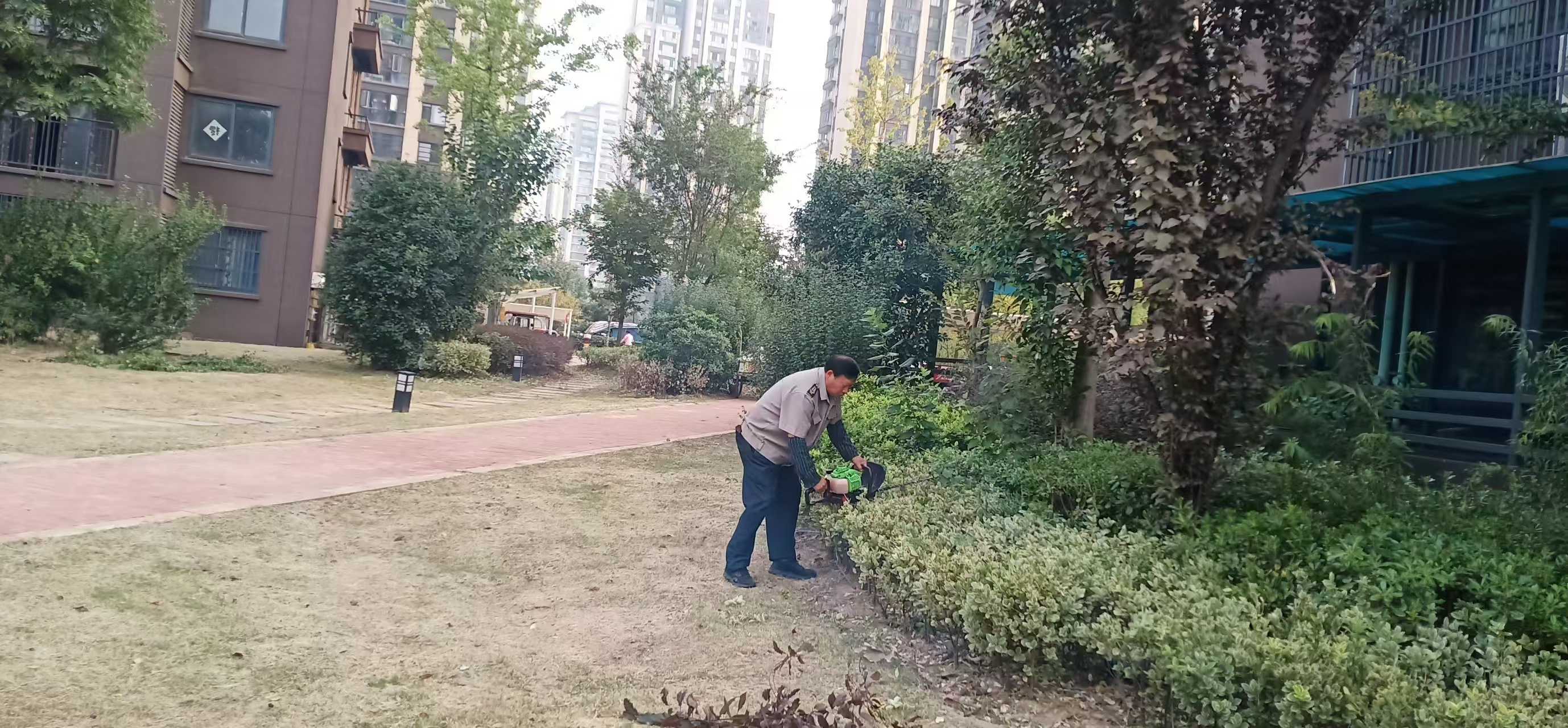 服务之星，榜样之光
