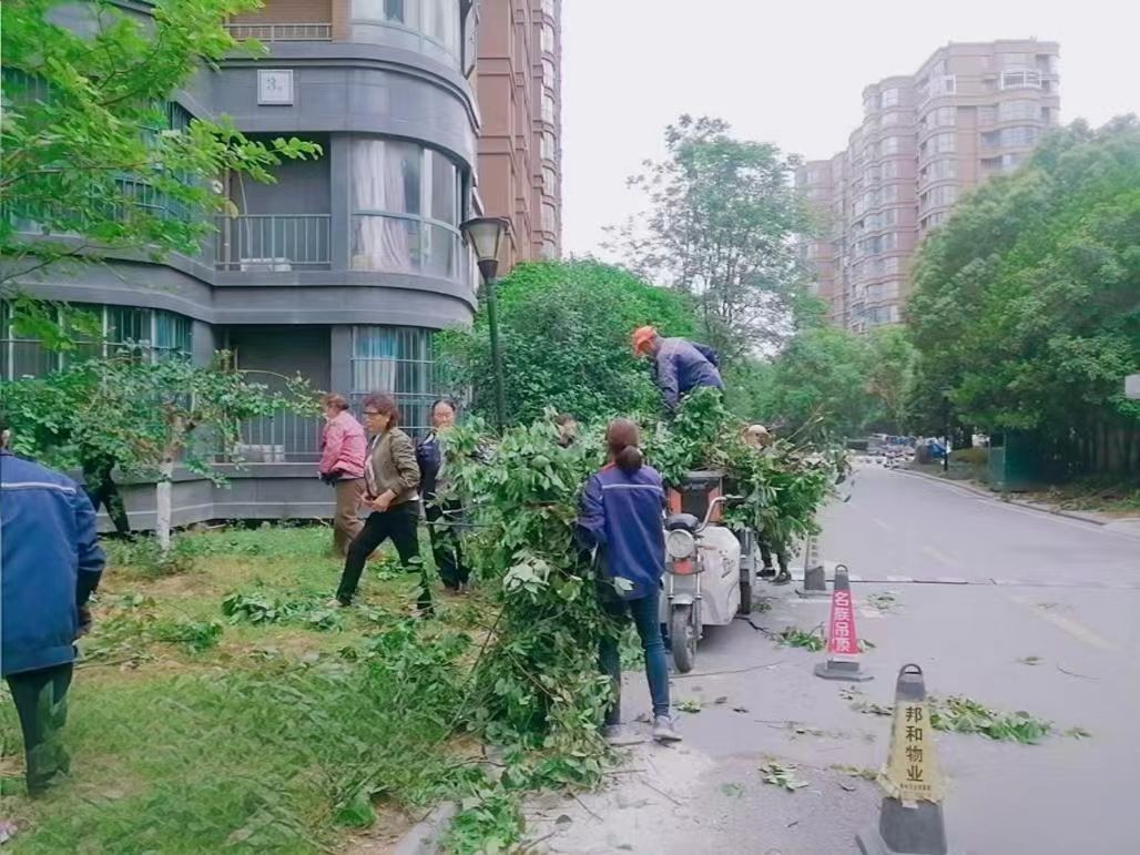 修枝剪叶护安全，扮靓家园筑宜居 ——金域豪庭绿化焕新记